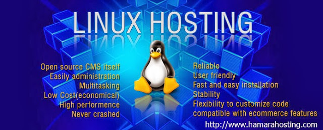  Linux Web Hosting