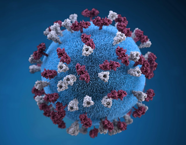 Coronavirus Cases are havoc rapidly in the World