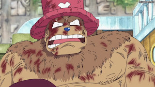 ワンピース アニメ 空島 スカイピア 162話 チョッパー Tony Tony Chopper | ONE PIECE Episode 162 Skypiea