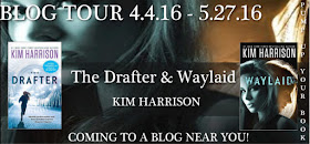 http://www.pumpupyourbook.com/2016/04/04/pump-up-your-book-presents-the-drafter-waylaid-virtual-book-publicity-tour/