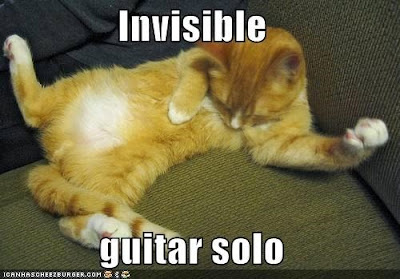 Gatos y cosas invisibles