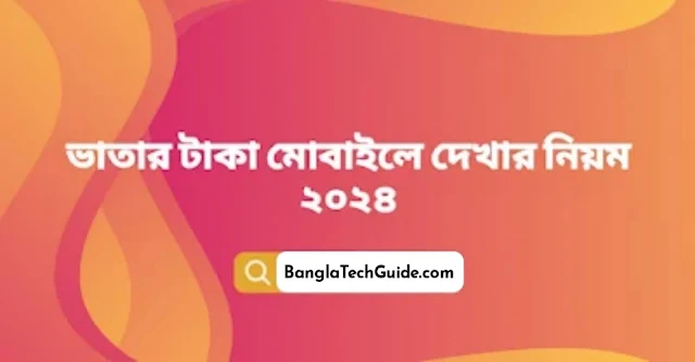 ভাতার টাকা মোবাইলে দেখার নিয়ম ২০২৪