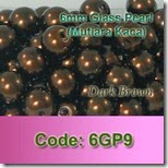 6GP9 copy