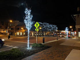 downtown near the main cross walk by the PO,Dean, Rockland and FSPA