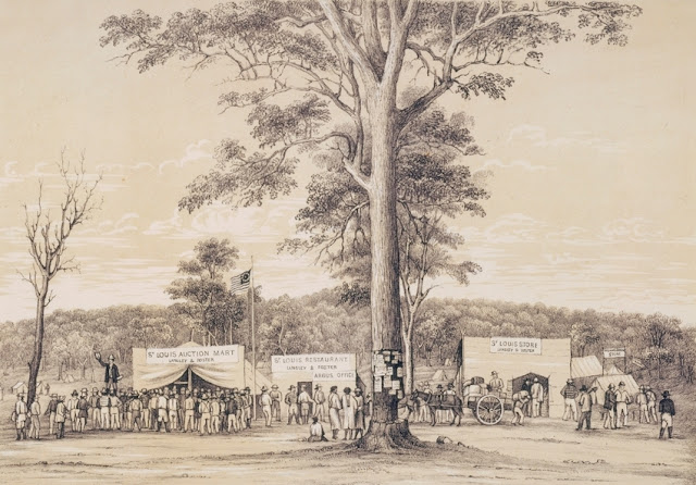 McIvor Diggings, July 26, 1853 (Langley, Hawkes, & Foster's Stores) Victoria