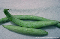 Pudalangai [ Snake Gourd ]