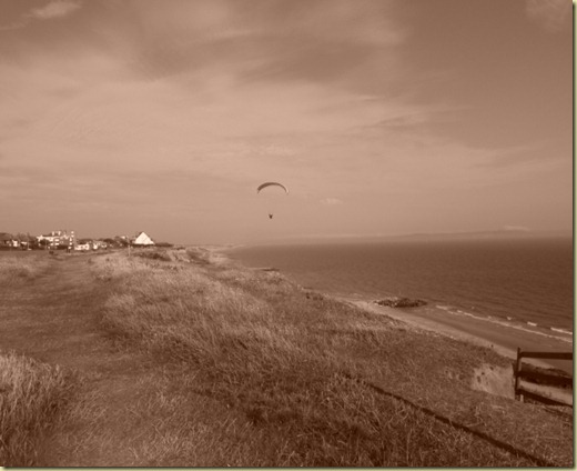 flying sepia