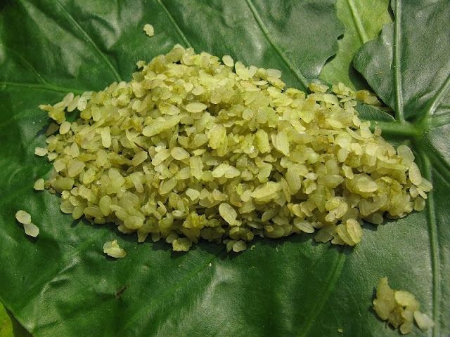 Browned green sticky rice - A fantastic idea for dessert made from ‘Com’