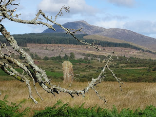 A photo taken through the branches of a dead tree showing a standing stone in the distance on a moor with mountains in the background.  Photograph by Kevin Nosferatu for the Skulferatu Project.