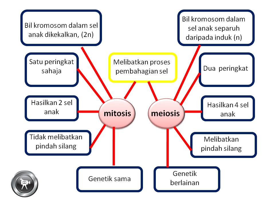 Nota fizik, Nota Sains Tingkatan 4, Nota Sains Tingkatan 5 