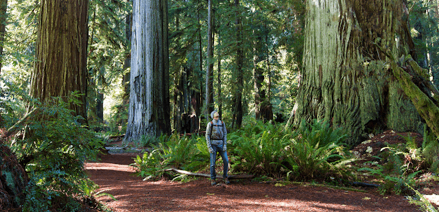 National Parks Road Trip: Cruise Along the Pacific Coast