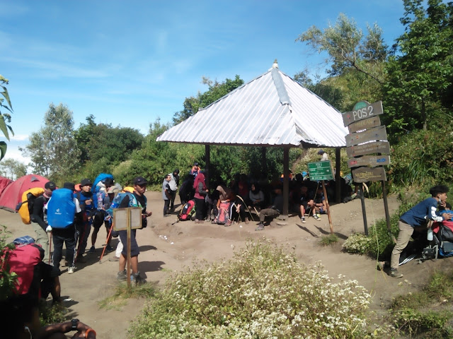 PENDAKIAN GUNUNG MERBABU via JALUR SELO | Catatan Perjalanan Anbusenja