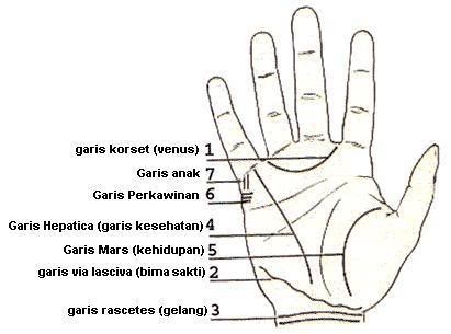 7 Rahasia Meramal Garis Tangan Seseorang ~ kanahayakoe