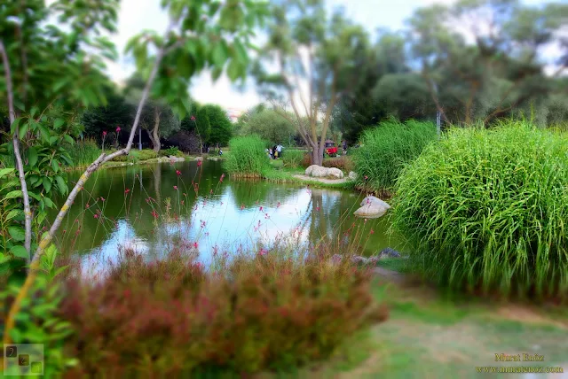 Bahçeşehir Park Gölet - Bahçeşehir Göleti - Bahçeşehir Gölet Alanı - Bahçeşehir Gölet Parkı