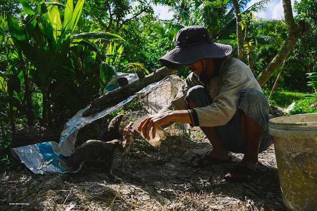 Chờ được yêu thương