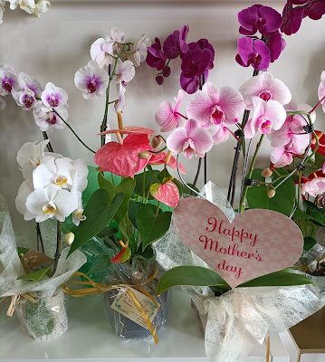 Domingo 7 de mayo día de la madre abierta la floristería  Deco Flor Puzol