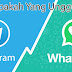 Telegram vs Whatsapp Siapakah yang Unggul?