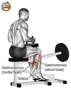 Top 9 Exercises for Building Bigger Calves