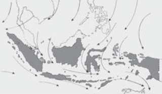 Contoh Soal tentang arah angin pilihan ganda no 51