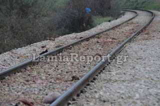 Το τρένο διαμέλισε βοσκό και πρόβατα