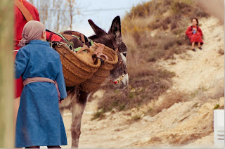 Cuadros De Burros Al Oleo