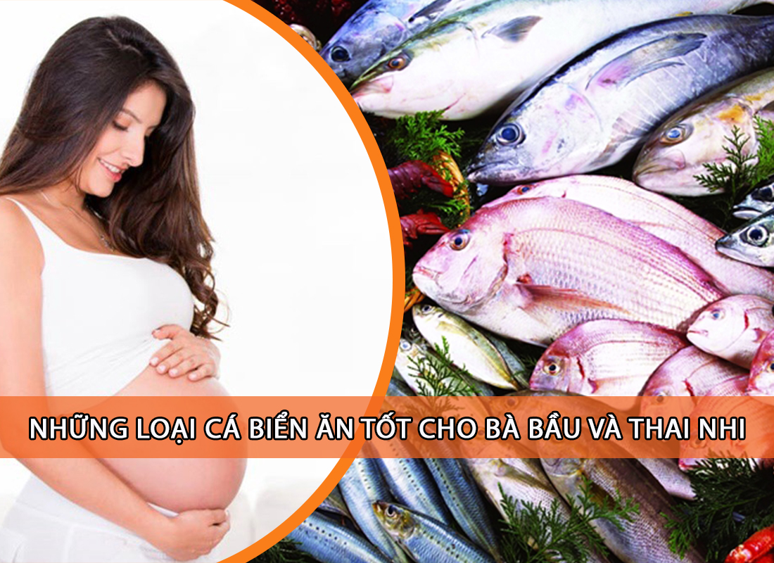 Những loại cá biển ăn tốt cho bà bầu và thai nhi