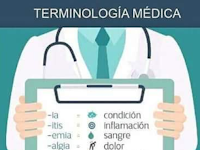 Terminologia Medica Prefijos Sufijos Y Raices Ejemplos