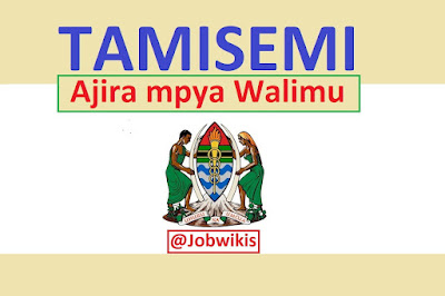 Majina Walioajiriwa Tamisemi 2023/2024 Pdf Downlo