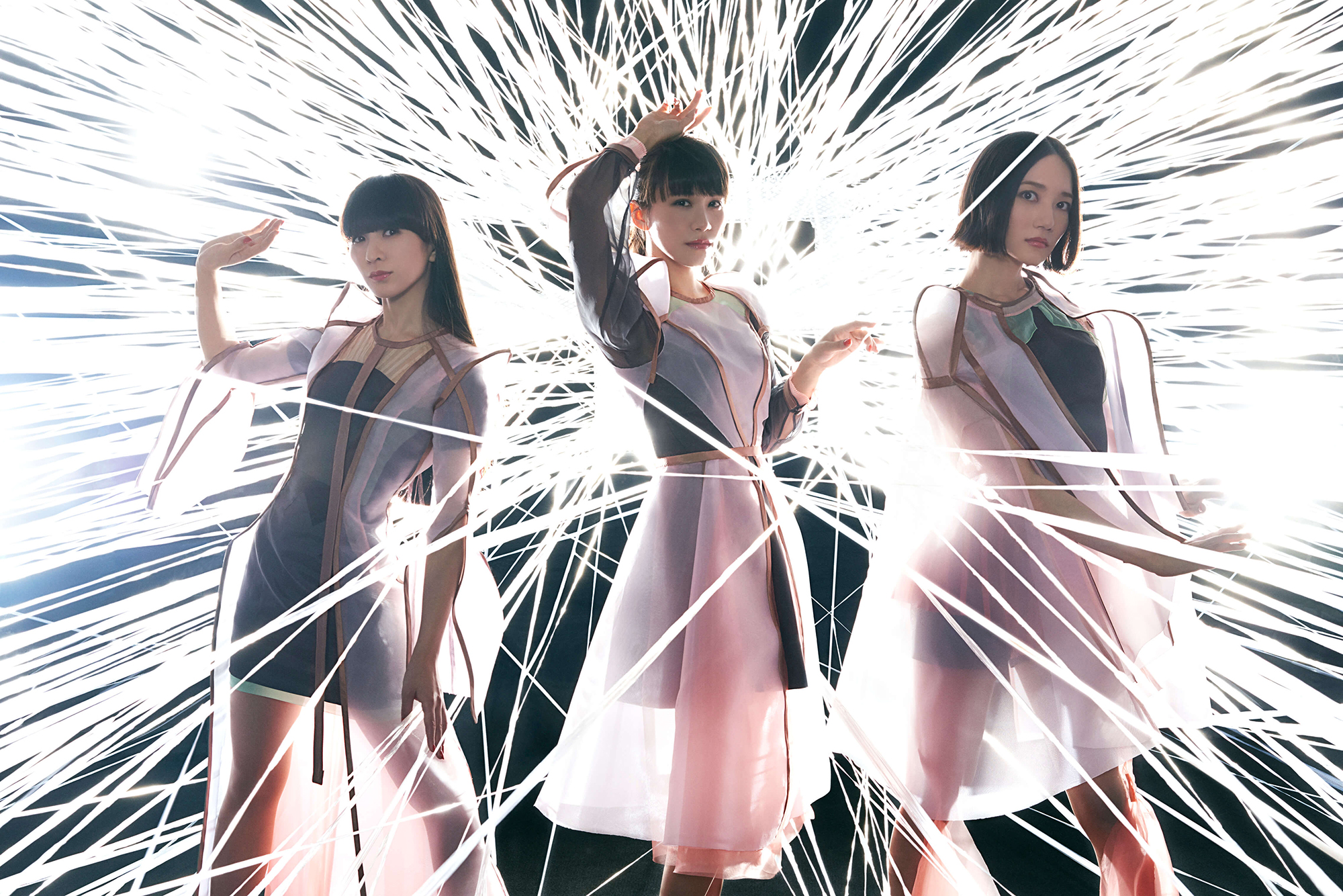 エレガントperfume 壁紙 19x1080 美しい花の画像