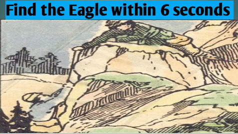 Only 1% of top geniuses can find eagle on a mountain in 6 seconds