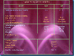 Slide15
