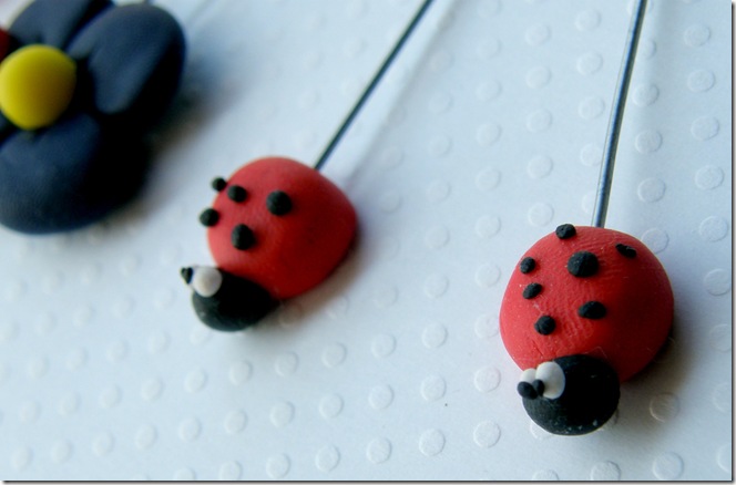 spilloni_coccinelle2