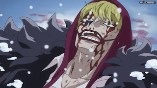 ワンピースアニメ ドレスローザ編 706話 コラソン ロシナンテ Rosinante | ONE PIECE Episode 706