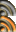 Feed