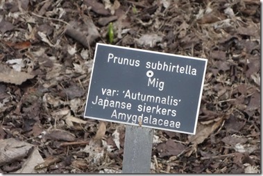 Plantentuin