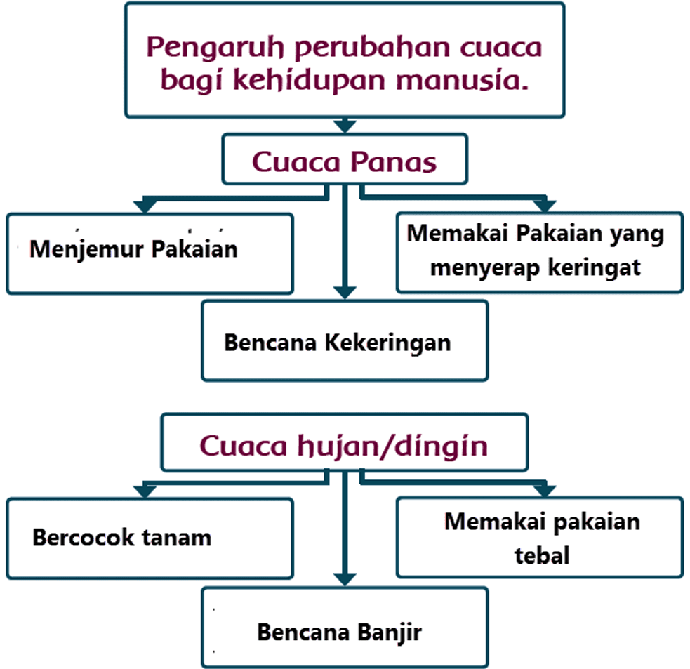 Kunci Jawaban Halaman 103, 105, 107, 108 Tema 5 Kelas 3