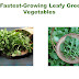 Leafy Green Vegetables growing tips