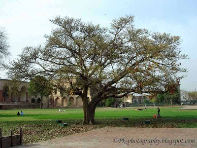 Shahi Qila Lahore