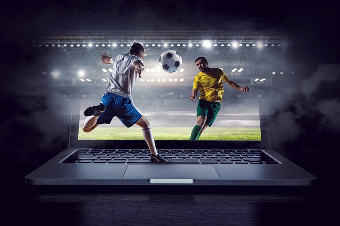 Exploring Two Common Types of Sports Bettors