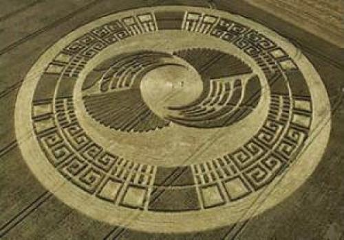 Crop Circles Secrets In The Fields
