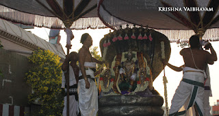 Aadi Sesha Vahanam,Purappadu, Brahmotsavam,Sri Parthasarathy Perumal,Chithirai, Triplicane,   Thiruvallikeni, Utsavam