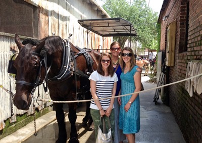 with jake, the horse (1 of 1)