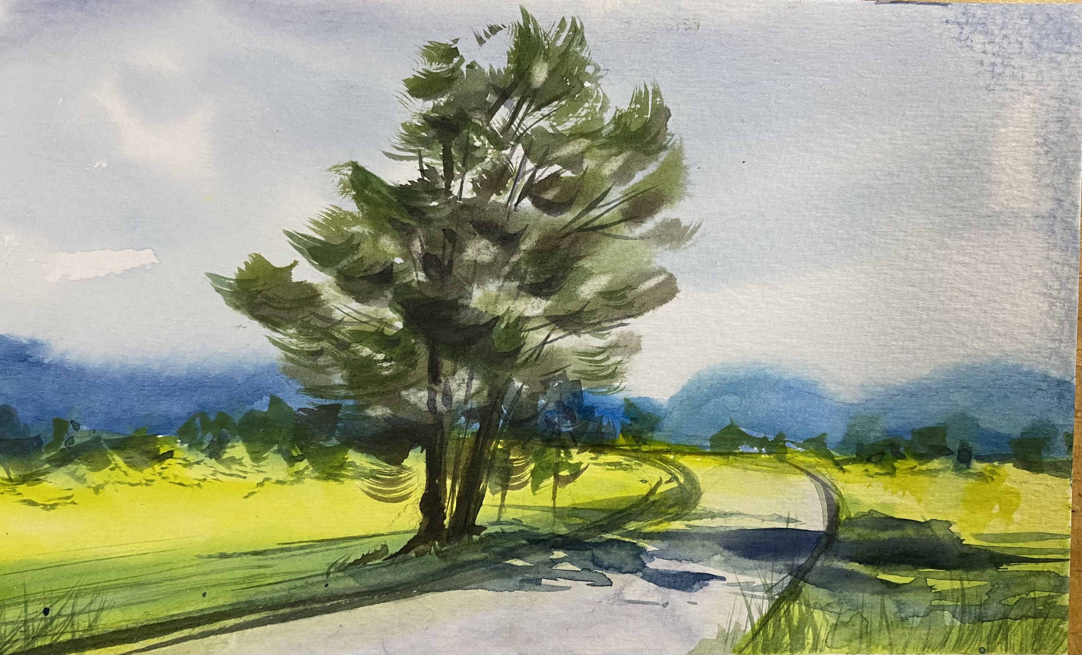 Watercolor  landscape