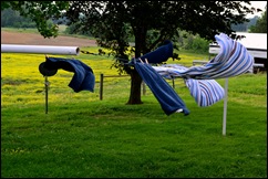 clothesline 9