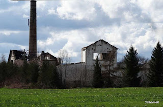 urbex-usine-cadavre-toile-jpg