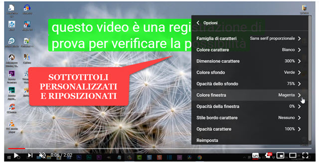 sottotitoli-personalizzati