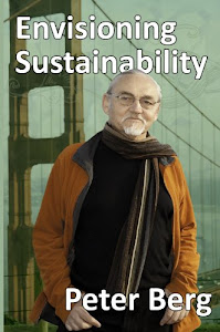 Envisioning Sustainability (English Edition)