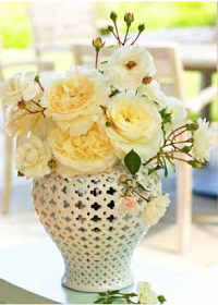vase, tabletop, rose