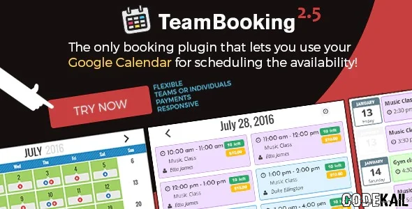 Team Booking V2.6 - WordPress booking system