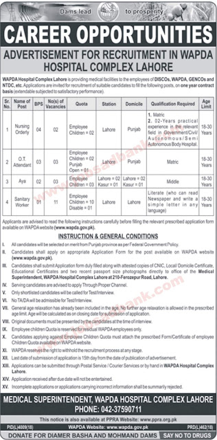 WAPDA Hospital Complex Lahore Jobs 2019 June - July Application Form Download Latest 2019